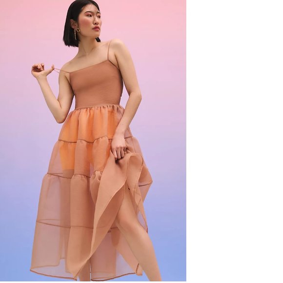 Anthropologie Dresses & Skirts - Anthropologie OhSevenDays Tiered Sheer Midi Dress size S new witht ag